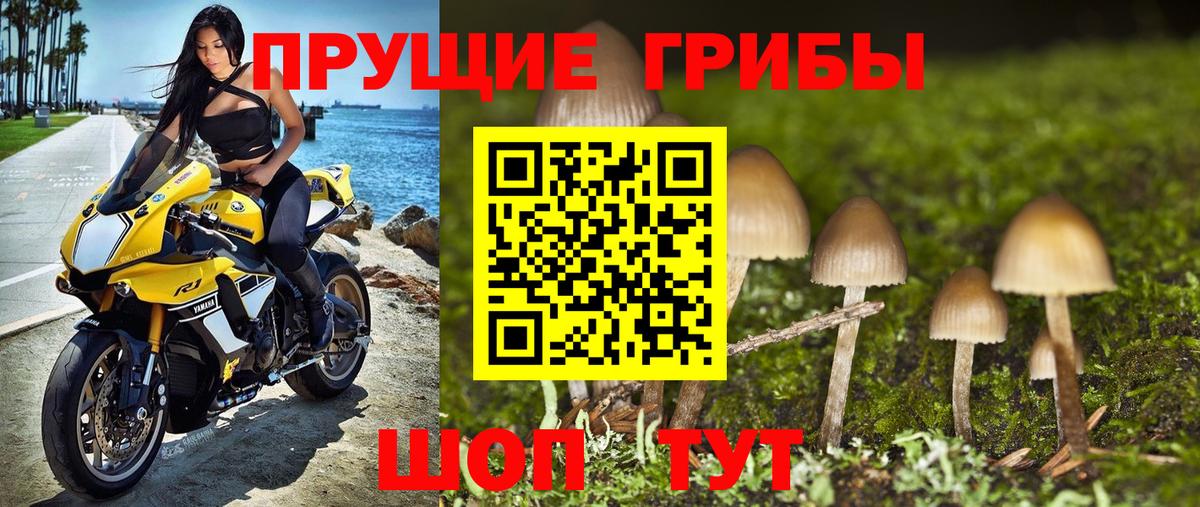 цена наркотик  Псилоцибиновые грибы MAGIC MUSHROOMS  Вход с VPN  Кашира  Псилоцибиновые грибы Psilocybine cubensis 