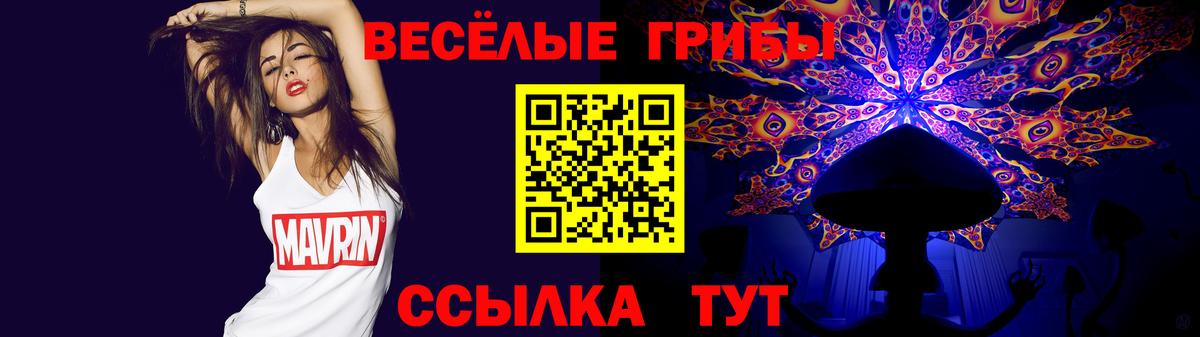 Галлюциногенные грибы MAGIC MUSHROOMS Кашира